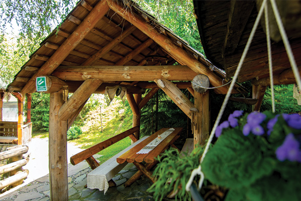 Foișor Rustic. Pensiunea Anca Desesti, Maramureș